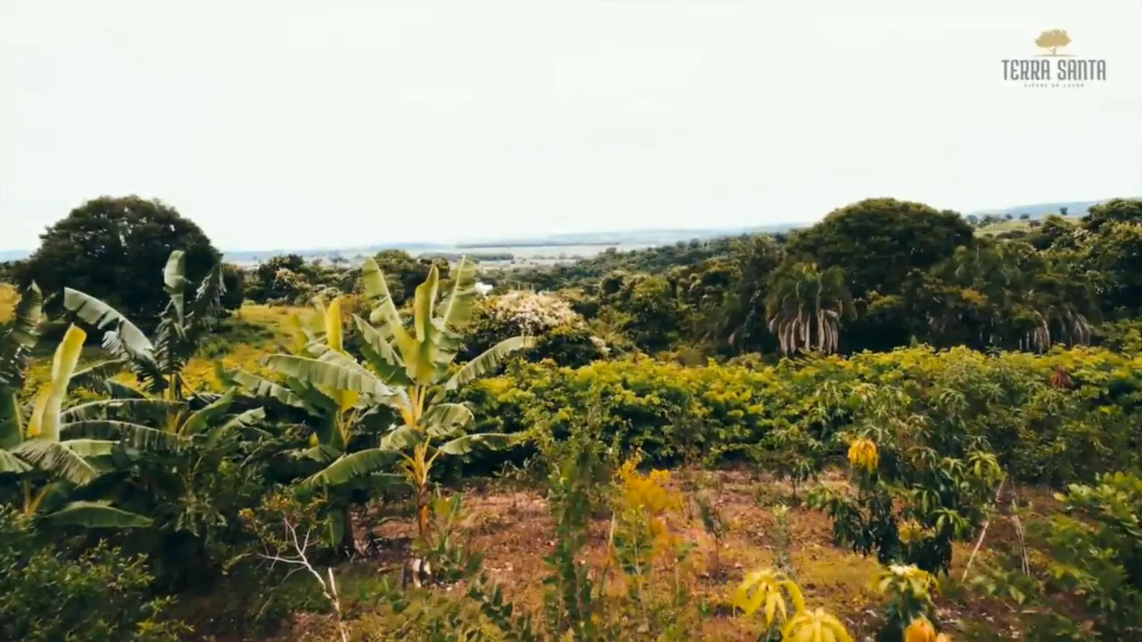 Monte das Oliveiras — foto 6