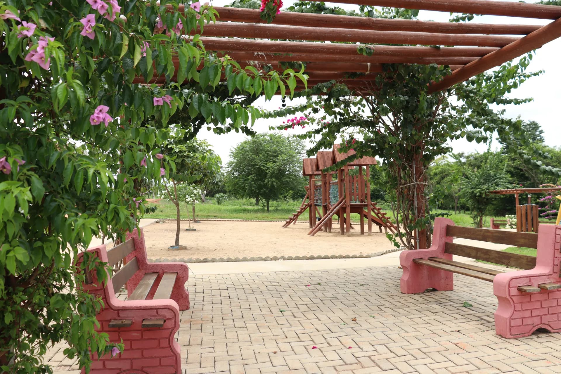 Galiléia — foto 3